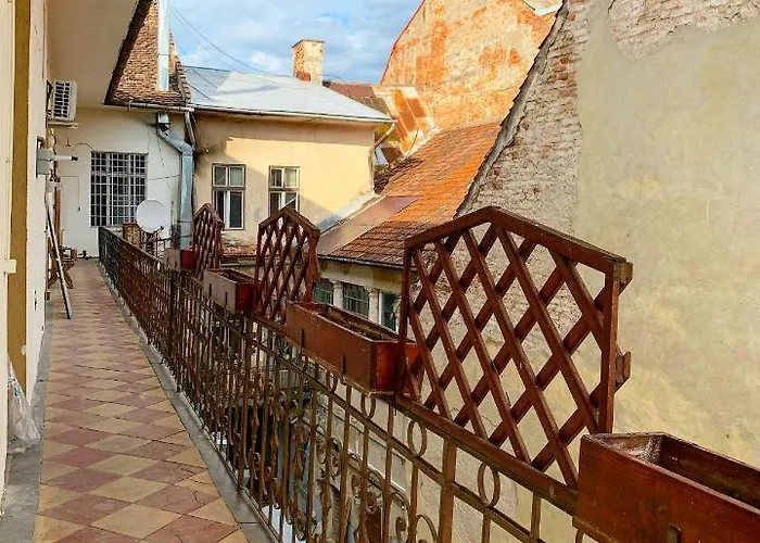 Mathias Vibe 클루지나포카